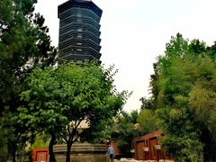 -北京大学国际医院