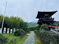 -大唐贡茶院