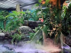 -上海海洋水族馆