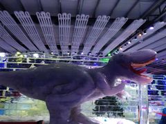 -宁波冰雪大世界(北仑区)