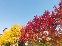 -辽宁大学(崇山校区)