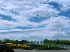 -呼兰河口湿地公园