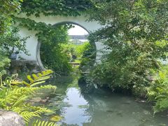 -上海醉白池公园