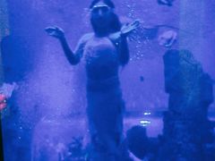 -石家庄极地海洋世界