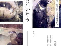 -波塞冬旅游度假区