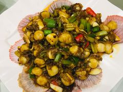 辣炒小扇贝-双井轩(双井店)