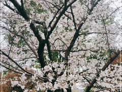 -堤角公园