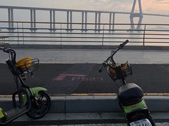 -中澳友谊花园