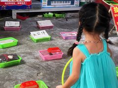 -顺德大良半月城游乐场