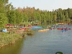 -上海长兴岛郊野公园