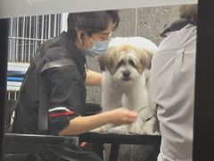 -宠物家(大兴旧宫店)