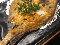 -九府羊·鲜羊火锅·烤串(新华路店)