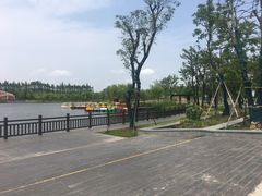 -上海长兴岛郊野公园