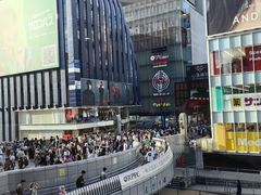 -蟹道乐(道顿堀本店)