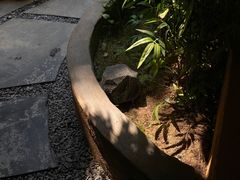 -黎记大排档(慈云路店)