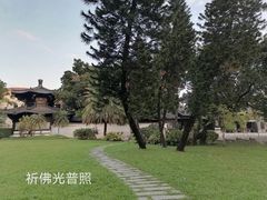 -荔湾湖公园