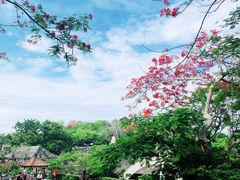 -乌鲁瓦图寺