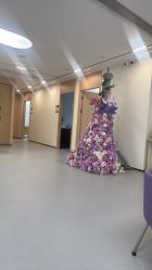 -上海伊莱美医疗美容医院