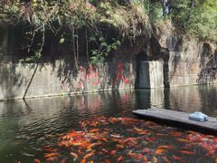 -千岛湖东南湖区