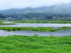 -腾冲北海湿地