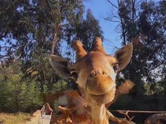 -云南野生动物园