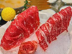 -喜聚薈·花膠雞海鮮火鍋(越秀店)