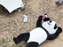 -宝岩生态观光园