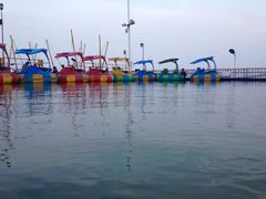 -碧海金沙