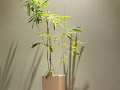 -眉州东坡(春秀路店)