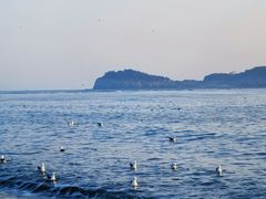 -黑石礁公园