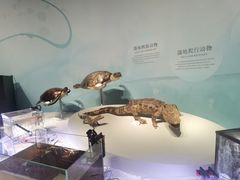 -中国湿地博物馆