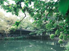 -惠山古镇·寄畅园