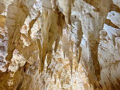 -怀托摩萤火虫洞