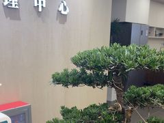 -通透堂中医·精准推拿(旗舰店)