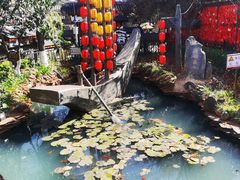 -眼镜粑粑