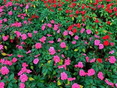 -艾溪湖湿地公园