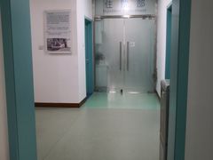 -北京观赏动物医院·24小时大型综合·猫专科·异宠专科