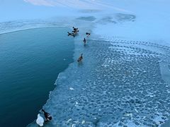 -天津东丽湖风景区