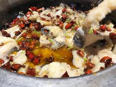 炝锅无刺巴沙鱼-清真·锦翔炝锅鱼(明德门店)