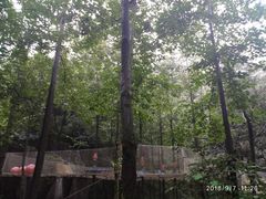 -梦幻奥陶纪景区