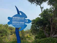 -广东惠东海龟国家级自然保护区
