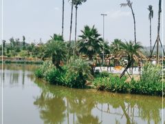 -枫香湖儿童公园