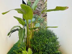 -雅苑中餐厅