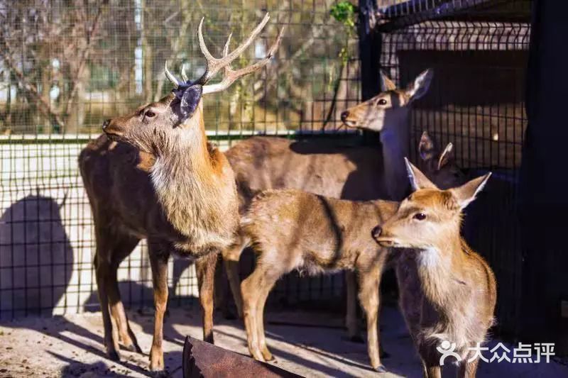 萌宠亲子动物乐园(槐房万达店)图片