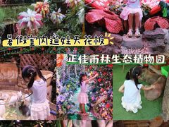-正佳雨林生态植物园