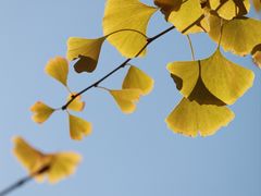 -朝阳公园