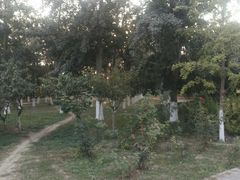 -槐房钓鱼公园