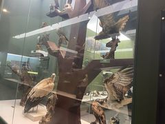 -国家自然博物馆