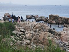 -养马岛旅游度假区