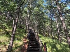 -苏木山森林公园